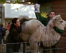 Tierärztin Dr. Mertens (S03/E07)