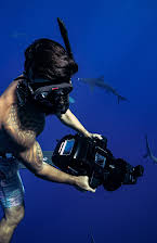 Keoni Tetawa Bowthorpe as Director