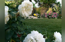 Yard Crashers Season 6: Rose Parade