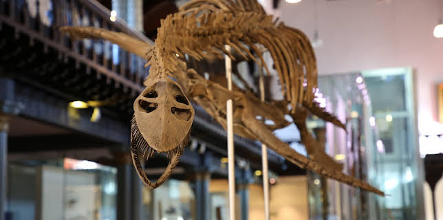 02:00: Mythen und Monster | ZDFinfo | 1/15 2026