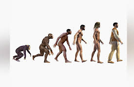 Unlocking the Hidden History of DNA: Apes, Humans, and Neanderthals