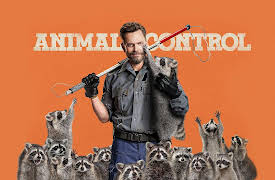 Animal Control Season 1: Rabbits and Pythons