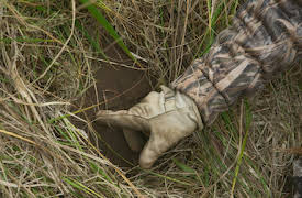 Pirate Gold of Adak Island: A Pirate Decoded