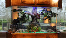 Tanked (S5 E5)