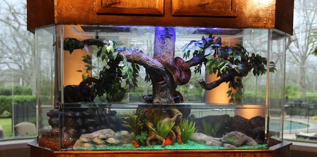 09:25: Akvariedesignerne (S5 E5) (S5) | Animal Planet | 3/5 2026