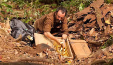 CINE CUATRO: '600 KILOS DE ORO PURO'