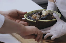 The Dessert: Episode 5