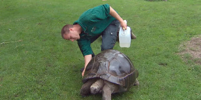 11:40: Leopard, Seebär & Co. | Radio Bremen | 1/9 2026