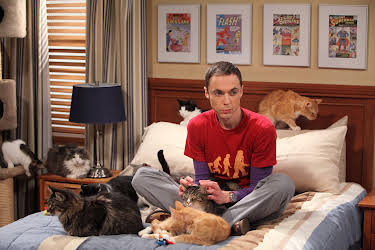20:20: Big Bang Theory, The (S4 E3) (S4) | Kanal 9 | 7/28 2026