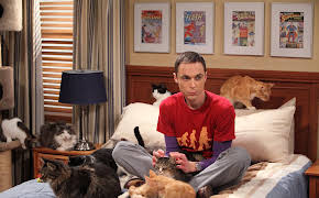 Big Bang Theory, The