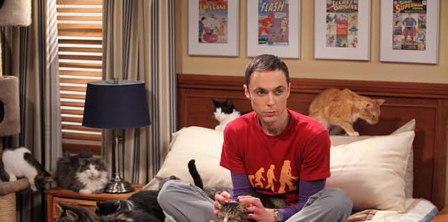 19:50: Big Bang Theory, The (S4 E3) (S4) | Kanal 9 | 11/26 2025