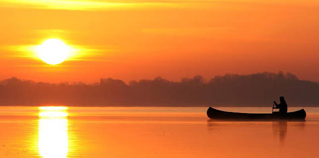 7:00 PM: Natural World | BBC Two | 3/13 2026