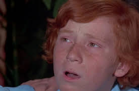 The Partridge Family Season 1: Did You Hear The One About Danny Partridge?