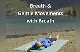 Yoga for Beginners: A Complete Program wih 9 Practices, with Jane Adams: Breath & Gentle Movements with Breath