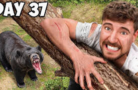 MrBeast: Inspiring Stories!: $10,000 Every Day You Survive In The Wilderness
