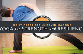 Daily Practices with David: Yoga for Strength and Resilience