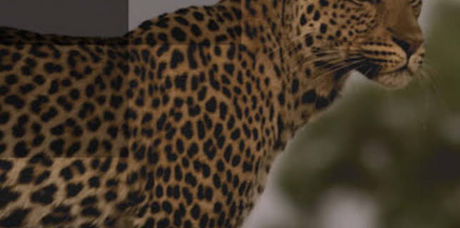 4:00 AM: Africa's Deadliest | Nat Geo Wild | 10/29 2025