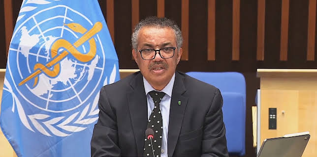 How to Survive a Pandemic (2022)