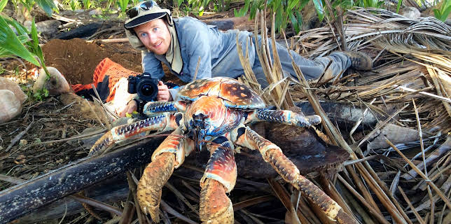 18:15: Die Weihnachtsinsel und der Palmendieb | 3SAT | 1/7 2026