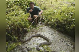 The Jeff Corwin Experience: Season 1: Six Days to the Dragon