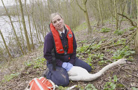 Saving Britain's Wildlife, Season 1: Time Heals Everything