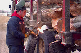 American Loggers Season 1: Hammer Down