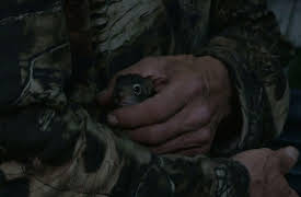 Cold River Cash Season 1: Split Decisions