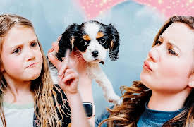 The Stella Show: Stella's Puppy Is Misbehaving!