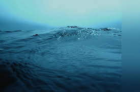 The Reality of Noah's Ark: The Global Flood