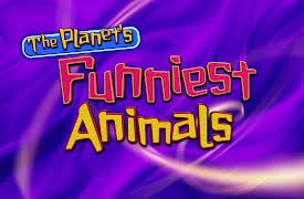 The Planet's Funniest Animals: Season 1: Episode 102