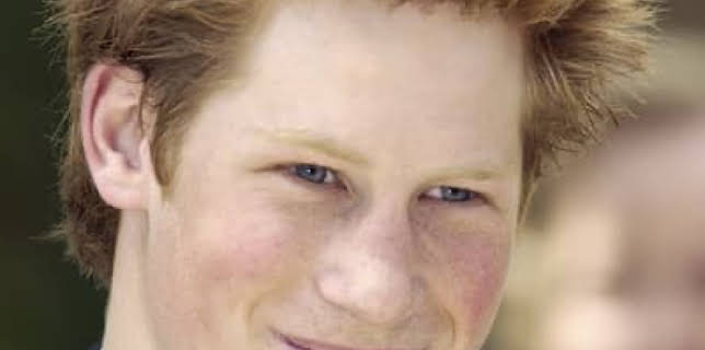 Harry: The Mysterious Prince (2004)