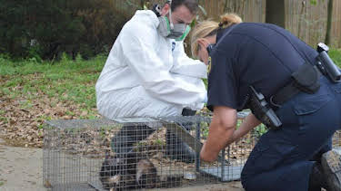1:00 PM: Animal Cops Houston (S19) | Discovery Channel | 10/27 2026