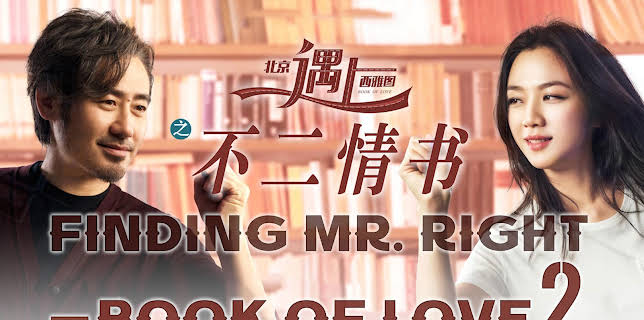 Finding Mr. Right 2 - Book of Love (2016)