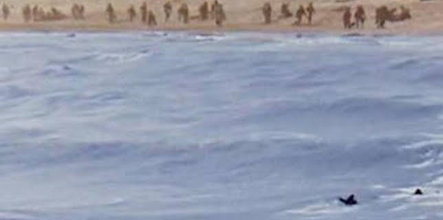 04:45: Liberación de Europa: del Día D a Berlín: El contraataque de Hitler | National Geographic | 12/30 2025