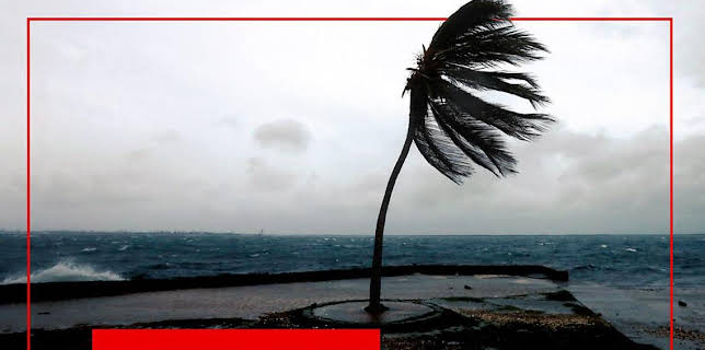 2:30 PM: BBC News | BBC News | 11/2 2025