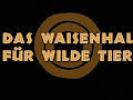 Das Waisenhaus für wilde Tiere