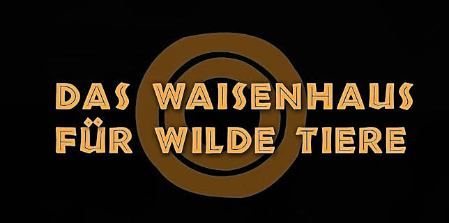 Das Waisenhaus für wilde Tiere