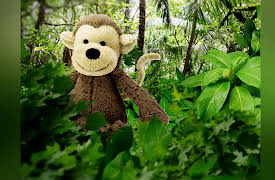 Squishy Kids TV: It's a Monkey!