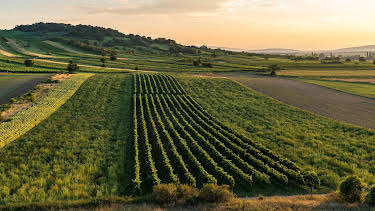 21:00: Abenteuer Burgenland | HR Fernsehen | 4/24 2026