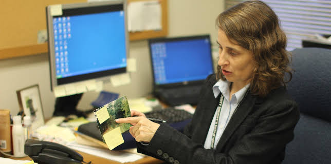 04:50: Nightmare Next Door (S2 E9) (S2) | Kanal 11 | 11/18 2025