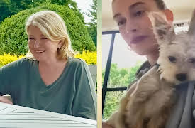 Martha Knows Best, Season 1: Pets