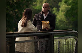 Guilt Season 1: A Fall from Grace