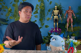 Helios & Friends DO SCIENCE!: Body Systems