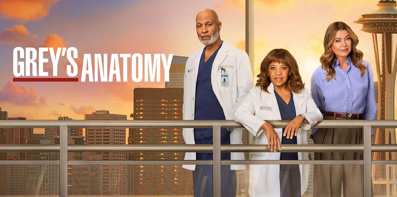 Grey's Anatomy Season 22
