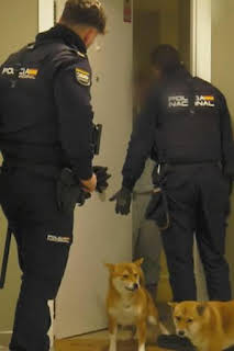 00:33: 091: alerta policía: Episodio 2 | Discovery Max | 4/5 2026