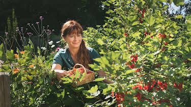 19:00: Querbeet | BR Fernsehen | 7/27 2026