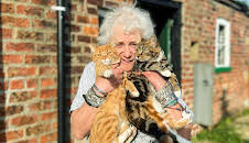 The Yorkshire Vet (S16 E7)