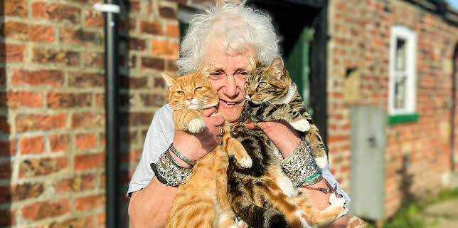 2:30 PM: The Yorkshire Vet (S16 E7) (S16) | Channel 5 | 3/21 2026