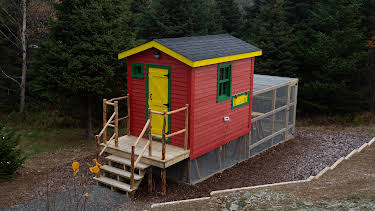 08:55: Rock Solid Builds (S3 E4) (S3) | TV10 | 3/31 2026