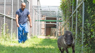 06:50: The Zoo (S3 E7) (S3) | Animal Planet | 5/27 2026
